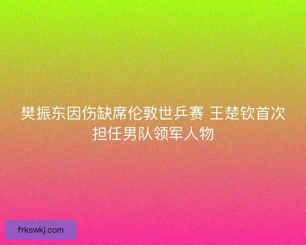 樊振东因伤缺席伦敦世乒赛 王楚钦首次担任男队领军人物